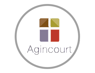 AgincourtCase2