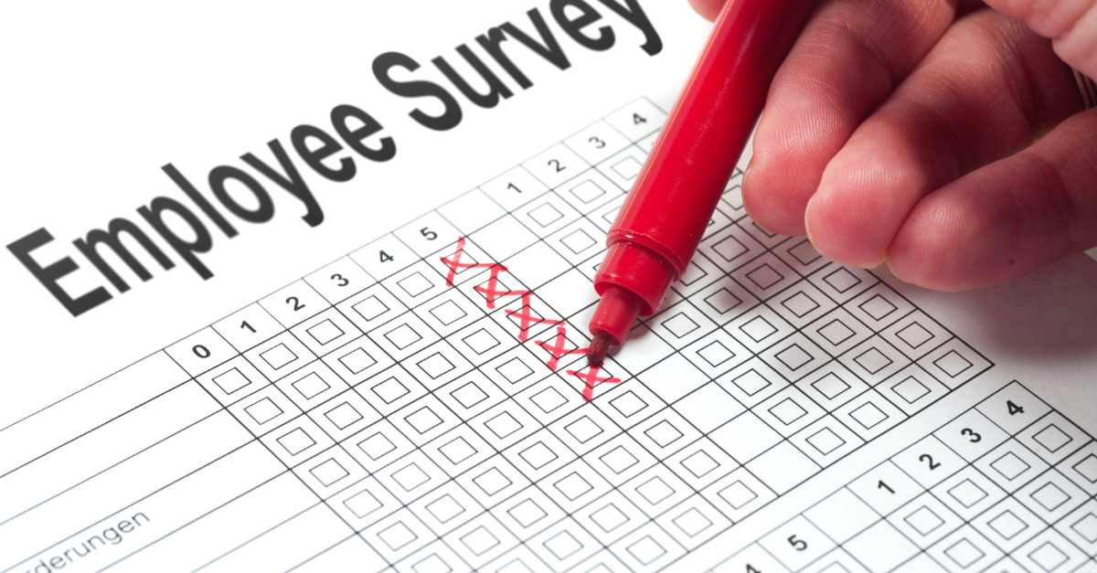 Employee Survey Being Filled